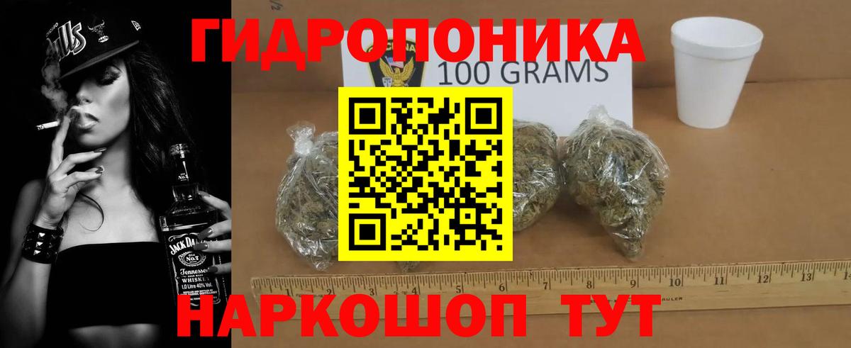 Шишки марихуана план Касимов